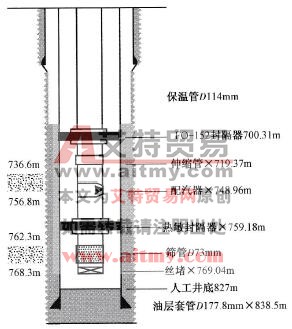 注氣管柱結(jié)構(gòu)示意圖