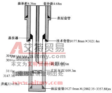 堵水施工井身結構示意圖