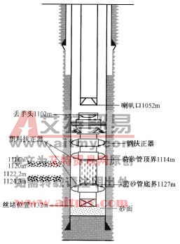 設計要求防砂管柱結構示意圖