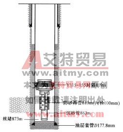 設計防砂管柱結構示意圖