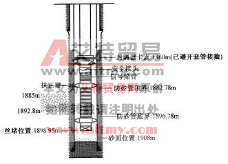 防砂管柱結(jié)構(gòu)示意圖