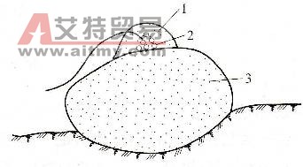 裸露藥包爆破 - 艾特貿易網 www.aitmy.com