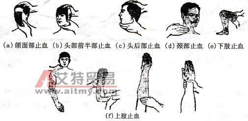 指壓點止血控制范圍